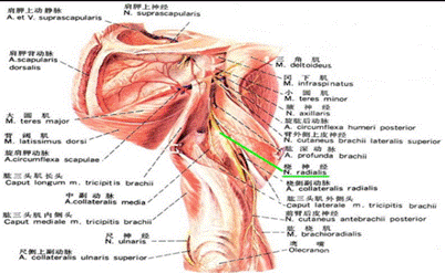 2022-01-09 16:55:27.803000